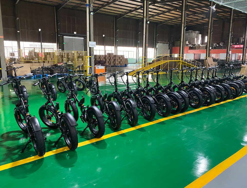 Freepath electric bikes in the current range